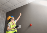Pest Inspections
